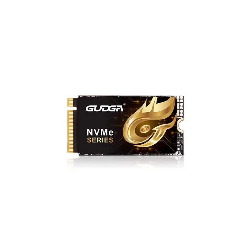2242 Lengde PCIE 4.0 NVMe SSD 7000MB/s